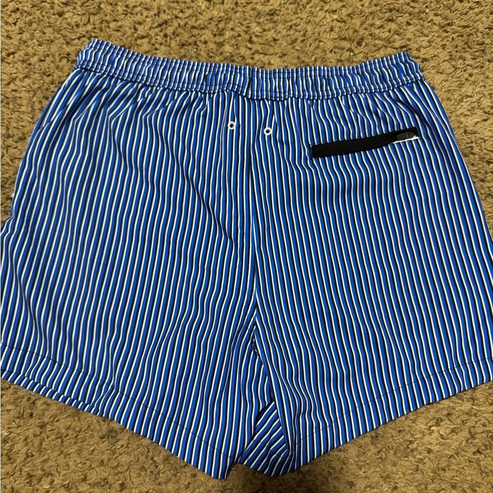 Blue Striped Men's Swim Shorts